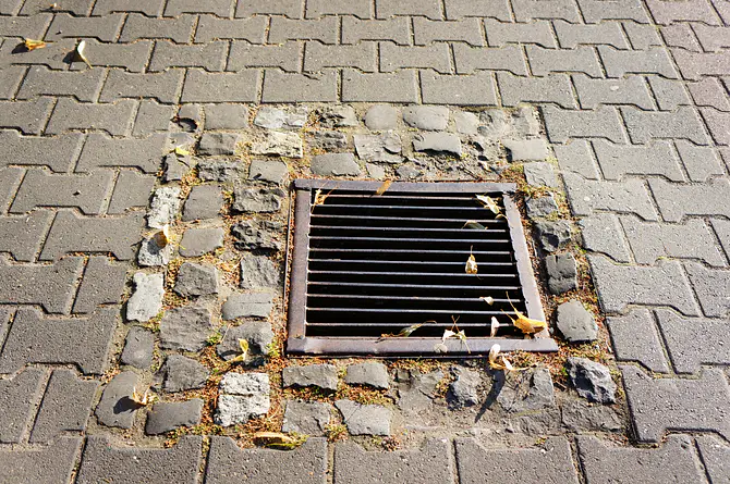 square metal drain grate set in paved stone and brick driveway with scattered leaves